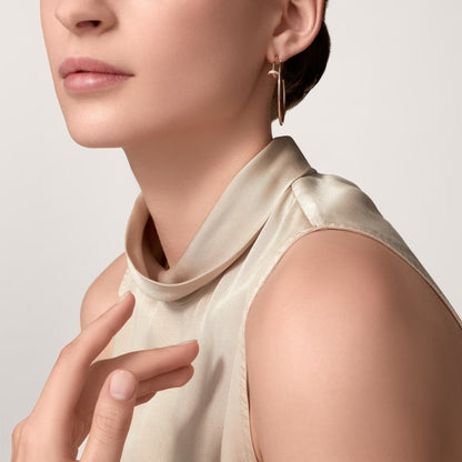 [Camiery] JUSTE HALF DIAMOND LARGE EARRINGS